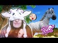 Szuper Vega csillag póni!🦓|| Star Stable Online