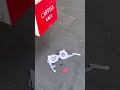 La vida en roma – arte urbano Rome, urban art Roma, art video Rome