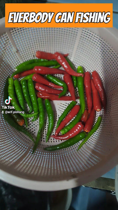 PUYU MUYU GORGON PART 2