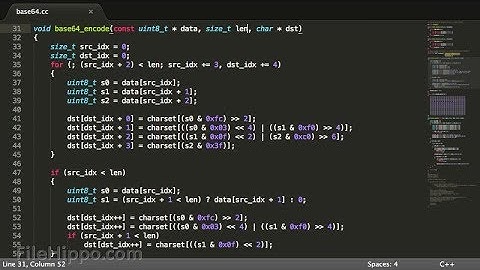 Sublime Text Editor Interface Overview