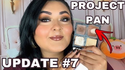 2022 PROJECT PAN UPDATE #7 // YEAR LONG ROLLING PROJECT 5 PAN!✨