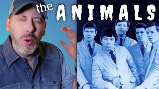 Animals - House of the Rising Sun  |  REACTION
