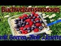 Rohvegane Buchweizensprossen mit Beeren Limette und Zimt + Keimanlieitung und Tipps zum Keimen