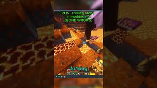 POV trolling mobs in modded mc Gone wrong (read description)