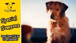 Special Someone | Dogs Trust TV Ad (Long Version)