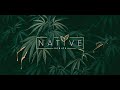 The native series the worlds only botanical terpenes that actually smell and taste like cdt