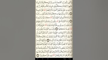 ماهر المعيقلي سورة النساء مكتوبة صفحة 80 مصحف المدينة المنورة جودة عالية