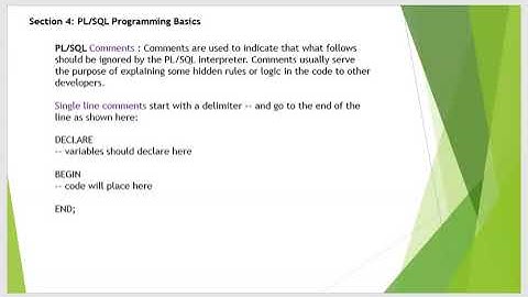 Pl/SQL Programming Language Comments