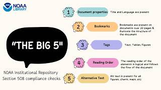 Section 508 "The Big 5" - Reading Order