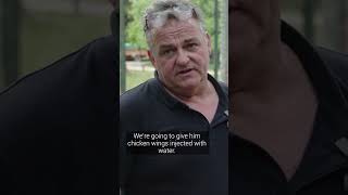 #EmergencyMissionArgentina - Every Day Counts! 🐾 | FOUR PAWS | [SUBS]