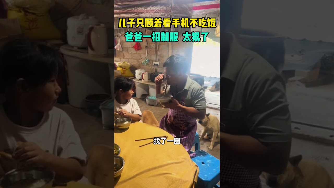 儿子只顾着看手机不吃饭，爸爸一招制服，太狠了 #animals #大熱門 #搞笑 #automobile #pets #影視解説 #感人壹幕 #funny #寵物友善日常 #影视聚焦 #影视聚焦