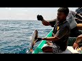 500 Hooks Used to Catch Plenty of Rosy Snapper