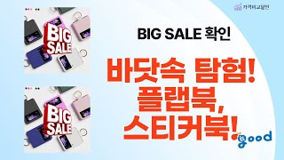 엄청난 바닷속 동물 탐험! 플랩북  스티커북  만화책 리뷰!