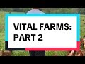 Vital Farms: Part 2