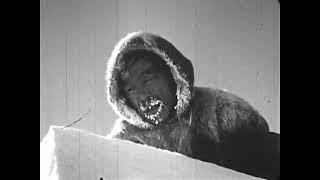 How To Build An Igloo (1949) Inuit Canada Construction