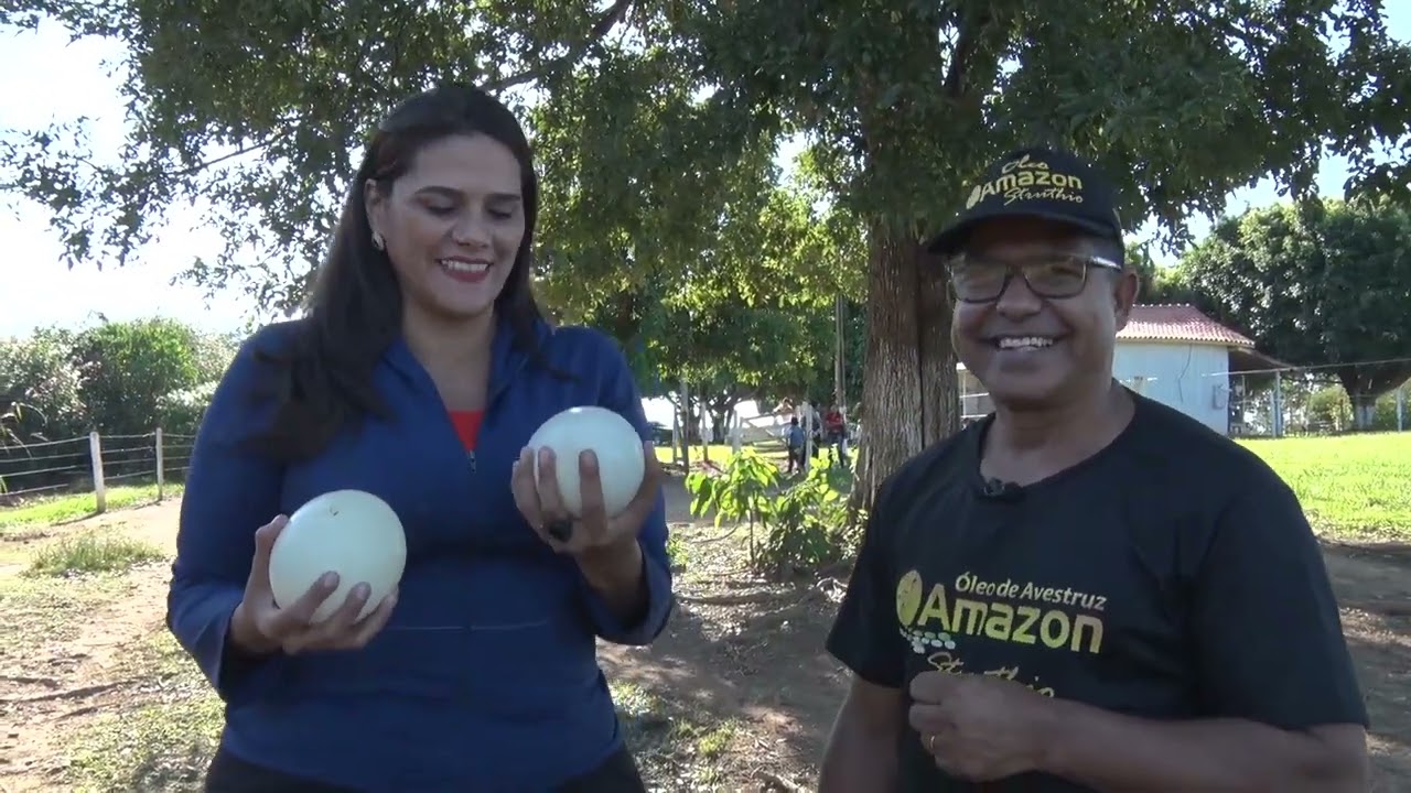 Serie avestruz CRIACAO