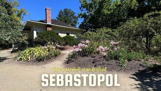 Exploring Sebastopol and the Bay Area in California | NorCal | Pacific North West