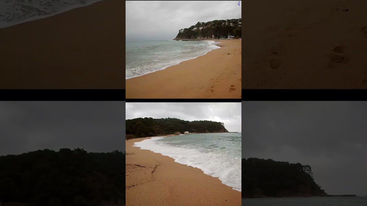 Voldria dir-te. Lloret, gener 2026