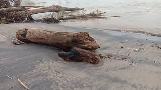 Mengerikan Air Laut Lagi Pasang Muara Bangkahulu