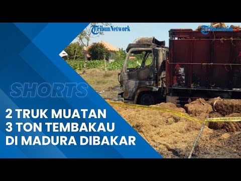 2 Truk Pengangkut