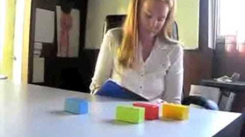 Phonemic Segmentation