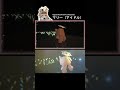 【Figura Blue Archive Characters】マリー(アイドル) Exスキル動画 #Shorts