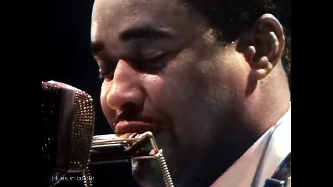 Juke Boy Bonner - Going Back To The Country live [Colourised] 1969