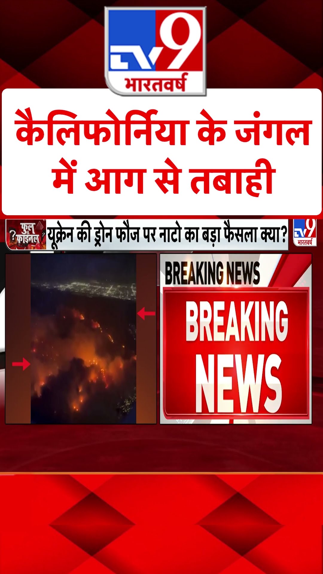 California के जंगल में आग से तबाही#tv9shorts