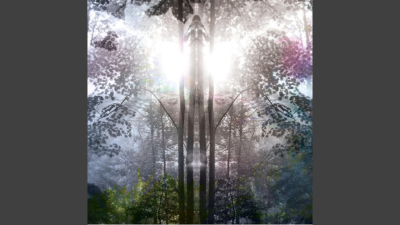 Sleduj Cloud Forest na YouTube Sleduj Cloud Forest na YouTube