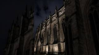 gothic architecture but it’s a phonk edit 🦇