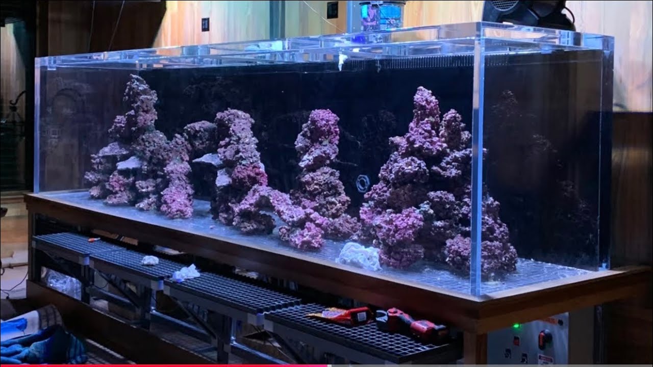 Rock choices & rock scaping