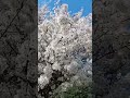 Крым 2024