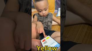 baby learning colors #baby #babyshorts #learncolors