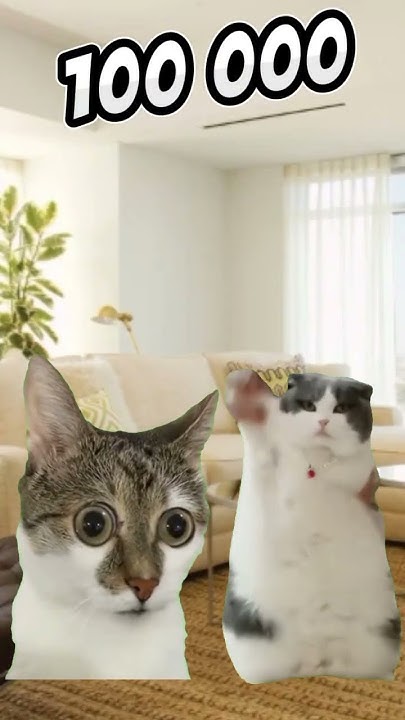 Должок #гача #мем #глент #cat #майнкрафт #юмор #роблокс #а4 #прикол # ...