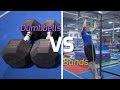 Are Resistance Bands Better Than Dumbbells? || Bands vs Weights