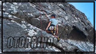 Otorrino (6c) | Galiñeiro