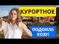 Курортное 2021. Доила козу, ела свежайшую рыбу! Ресторан ЧЕРНОМОРКА ферма "Козы и матросы"