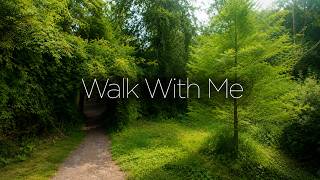 Hidden Ireland 4K 🇮🇪 | Peaceful Forest Walk with Nature Sounds | JFK Arboretum