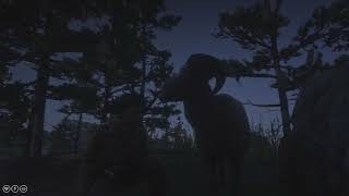 Exploration of  "Canada" in RDO