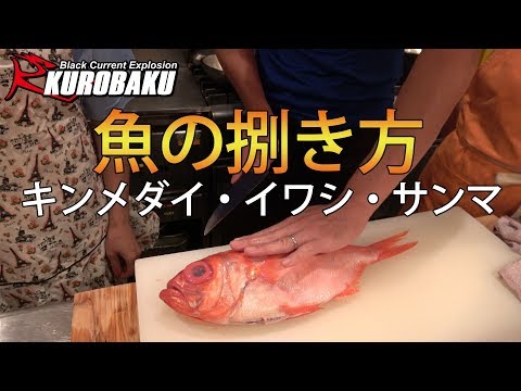 魚のさばき方 キンメダイ イワシ サンマ Youtube