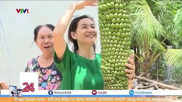 CHUYỆN LẠ BUỒNG CHUỐI DÀI 2M HƠN 220 NẢI TẠI PHÚ YÊN