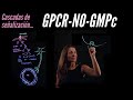 Señalización intracelular III: GPCR - NO- GMPc