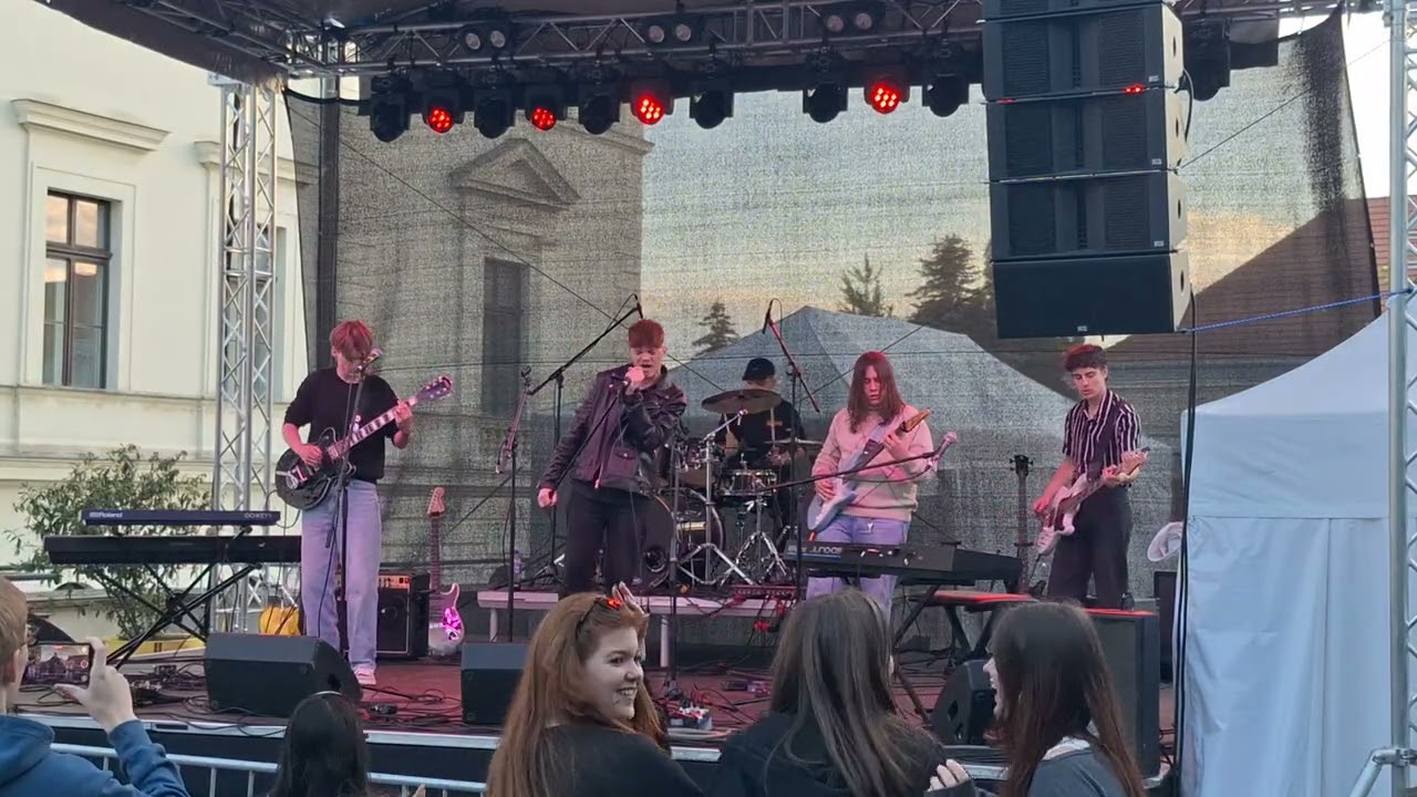 Audioslave - Man or animal (live cover)