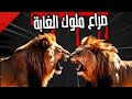 10 معارك مجنونة قاتلت فيها الأسود يعضها حتى النهاية صراع الملوك 