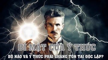 Bí mật của ý thức - Bộ não và ý thức phải chăng tồn tại độc lập?