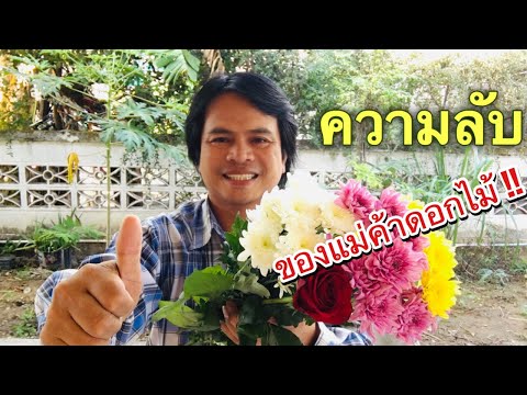 วีดีโอ: สารกันบูดสำหรับไม้ตัดดอก - เคล็ดลับในการให้อาหารดอกไม้สด