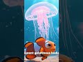 Amazing Jellyfish 🪼 | Learn About Jellyfish | Educational 3D Cartoon for Kids #kidslearning