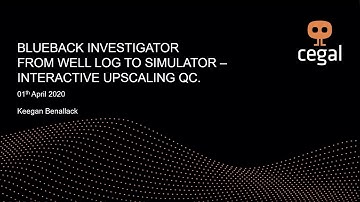 Blueback Investigator: From Well Log to Simulator - Interactive upscaling QC