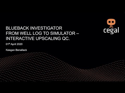 Blueback Investigator: From Well Log to Simulator - Interactive upscaling QC