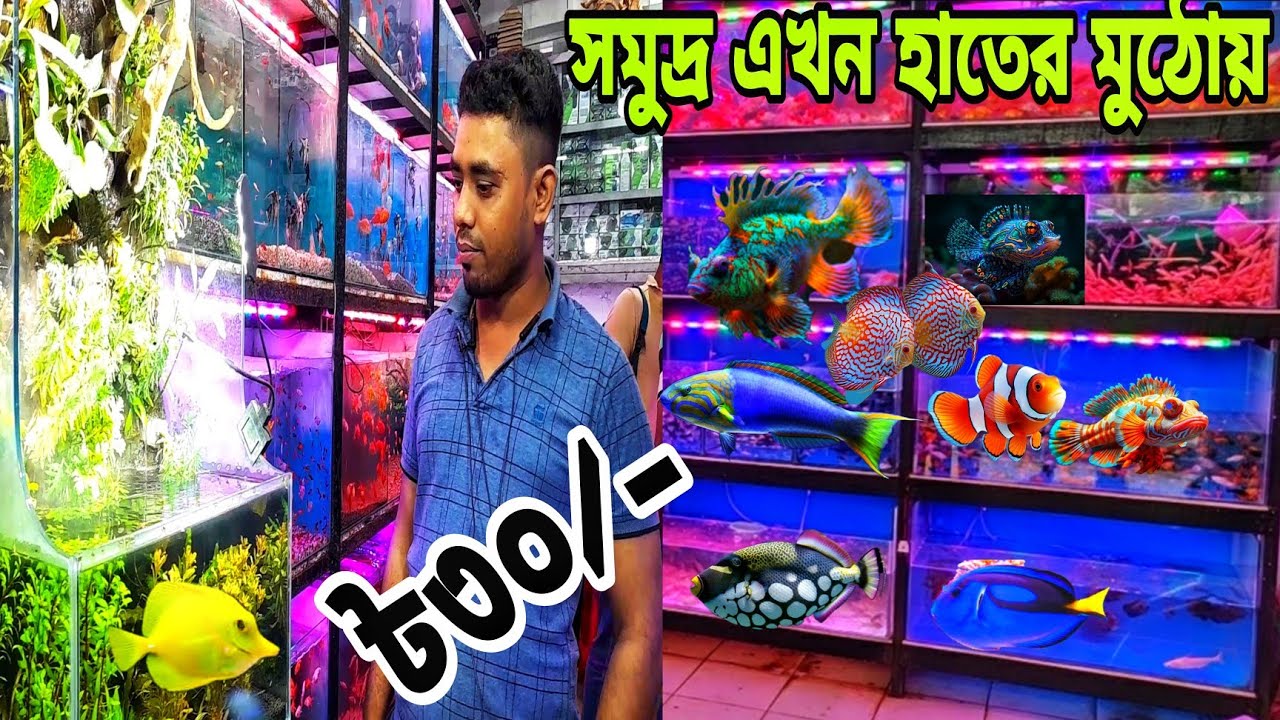 Aquarium price in Bangladeshfish price in Tank price